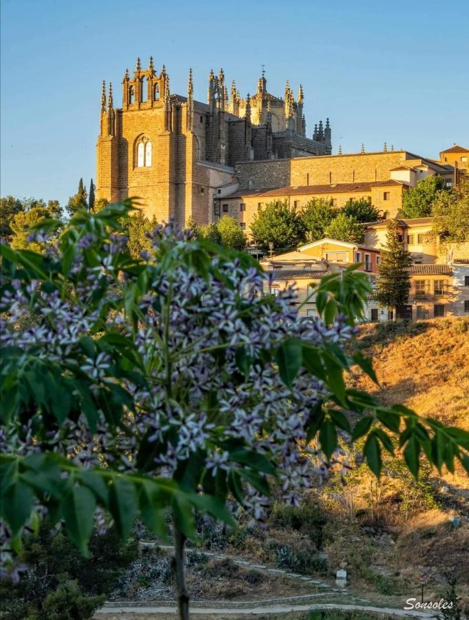 Vega Del Tajo- Con Parking Gratis Daire Toledo Dış mekan fotoğraf